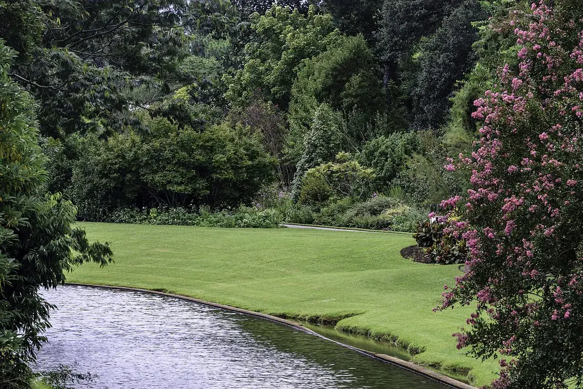 Tuinplanten