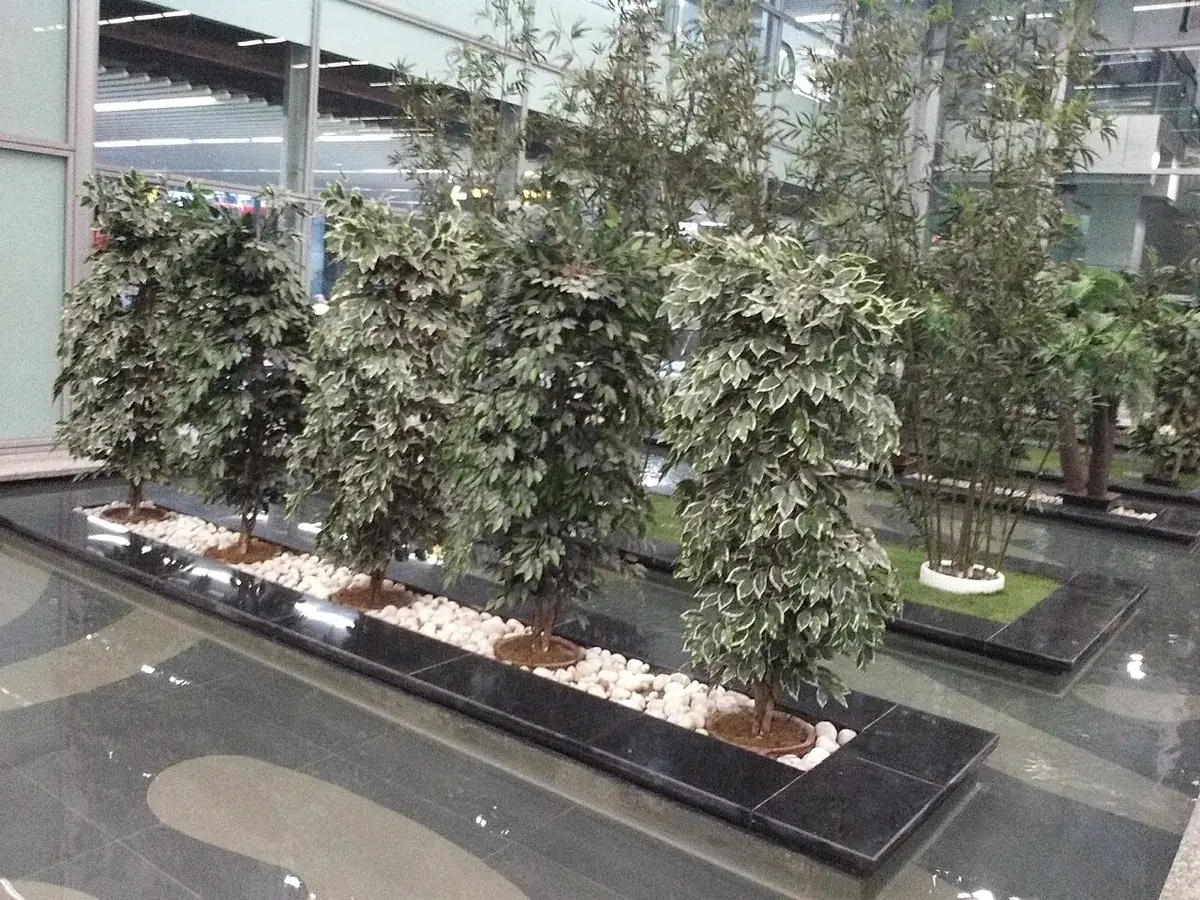 Wonen met planten