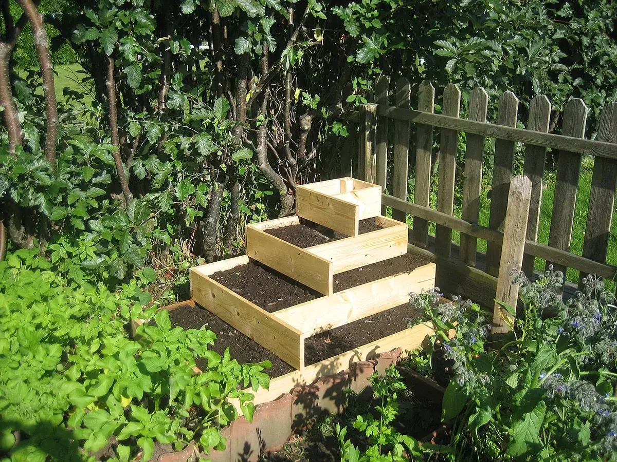 Moestuin beginnen