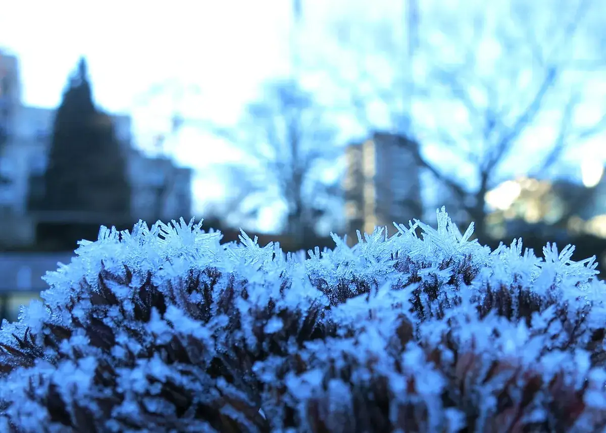 Tuin winterklaar maken