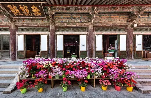 Bloempotten