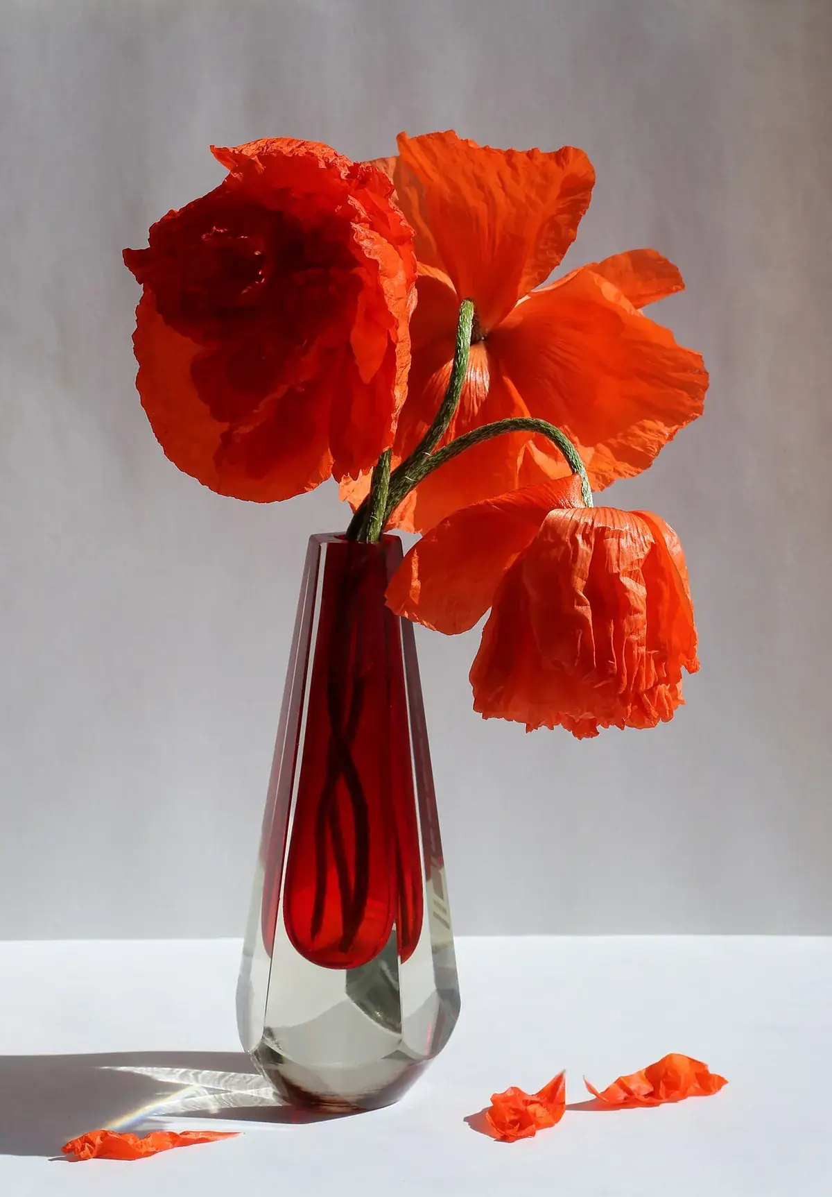 Brievenbusbloemen