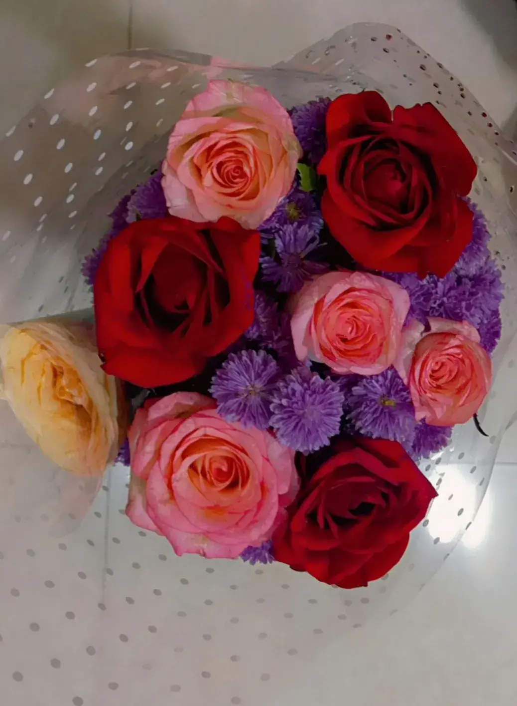 Plantcadeaus & bloemen